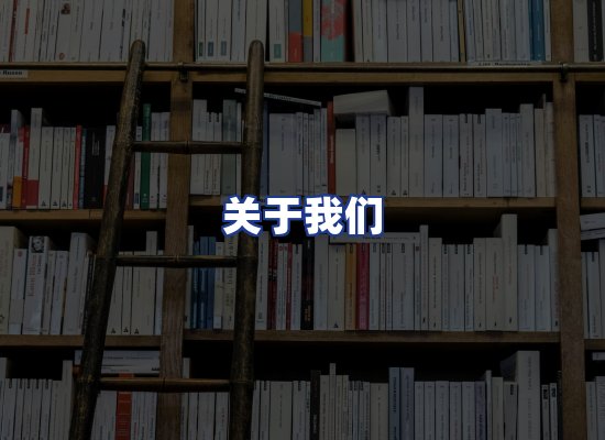 专业团队